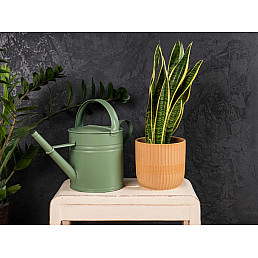 Betonová stěrka 20 Kg - Grafit