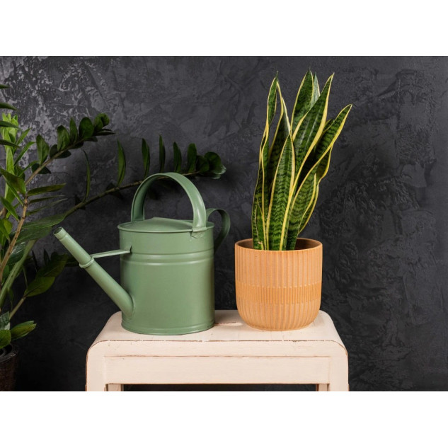 Betonová stěrka 20 Kg - Grafit Designová Betonová stěrka 20 Kg - Grafit