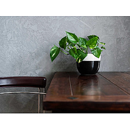 Betonová stěrka 20 Kg - Světle šedá