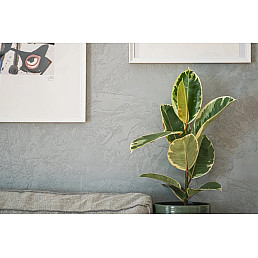 Betonová stěrka 20 Kg - Tmavě šedá