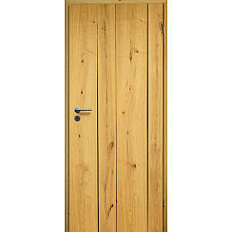 Dřevěné dveře MODERN 01/V