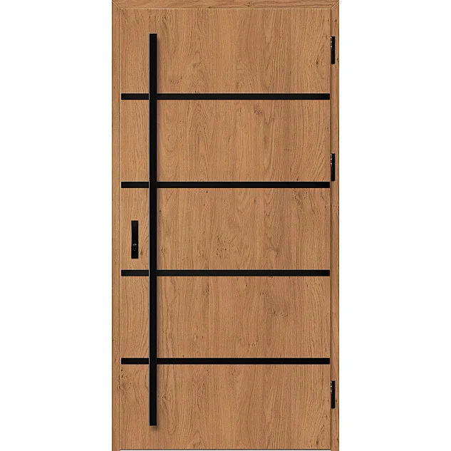 Ocelové vchodové dveře - BIENE 1 - Winchester, Label Black Ocelové vchodové dveře ERKADO - BIENE 1 - Winchester, Label Black