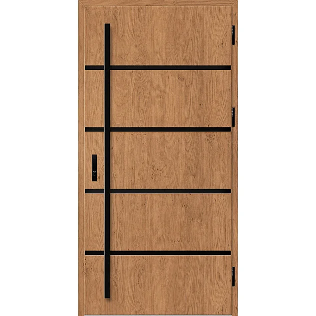 Ocelové vchodové dveře - BIENE 1 - Winchester, Stamp Black Ocelové vchodové dveře ERKADO - BIENE 1 - Winchester, Stamp Black