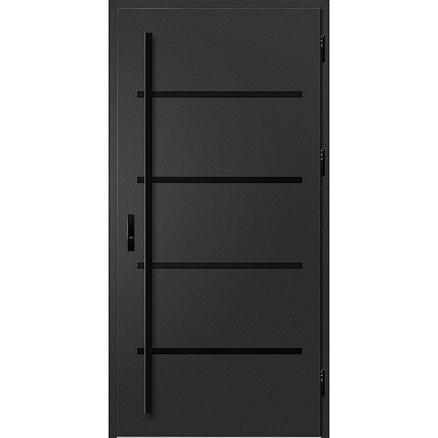 Ocelové vchodové dveře ERKADO - BIENE 2 - Černá, Label Black