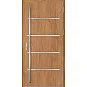 Ocelové vchodové dveře - BIENE 2 - Winchester, Label Inox Ocelové vchodové dveře ERKADO - BIENE 2 - Winchester, Label Inox
