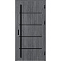 Ocelové vchodové dveře ERKADO - BIENE 2 - Dub Antracit, Stamp Black
