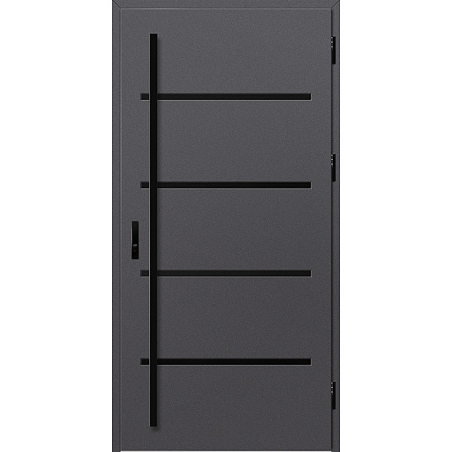 Ocelové vchodové dveře ERKADO - BIENE 2 - Hladký Antracit, Stamp Black