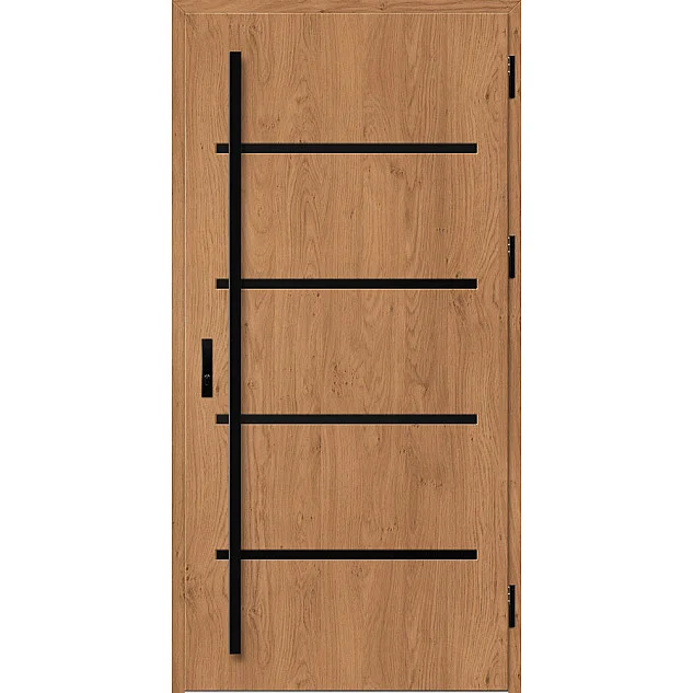 Ocelové vchodové dveře - BIENE 2 - Winchester, Stamp Black Ocelové vchodové dveře ERKADO - BIENE 2 - Winchester, Stamp Black