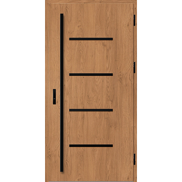 Ocelové vchodové dveře ERKADO - BIENE 3 -  Winchester, Label Black