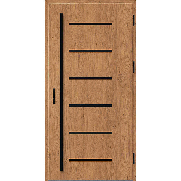 Ocelové vchodové dveře ERKADO - BIENE 4 -  Winchester, Label Black