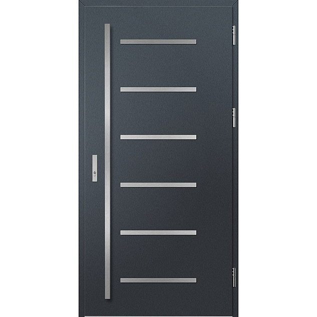 Ocelové vchodové dveře ERKADO - BIENE 4 - Antracit Struktura, Label Inox