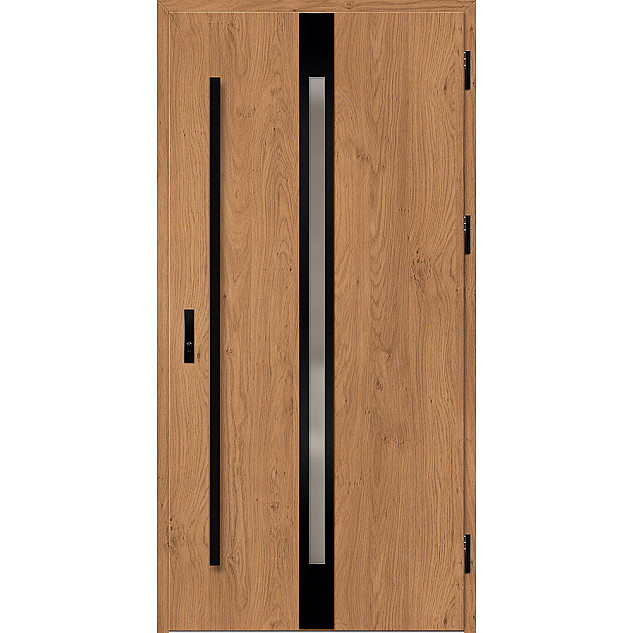 Ocelové vchodové dveře ERKADO - LANGEN 4 -  Winchester, Label Black