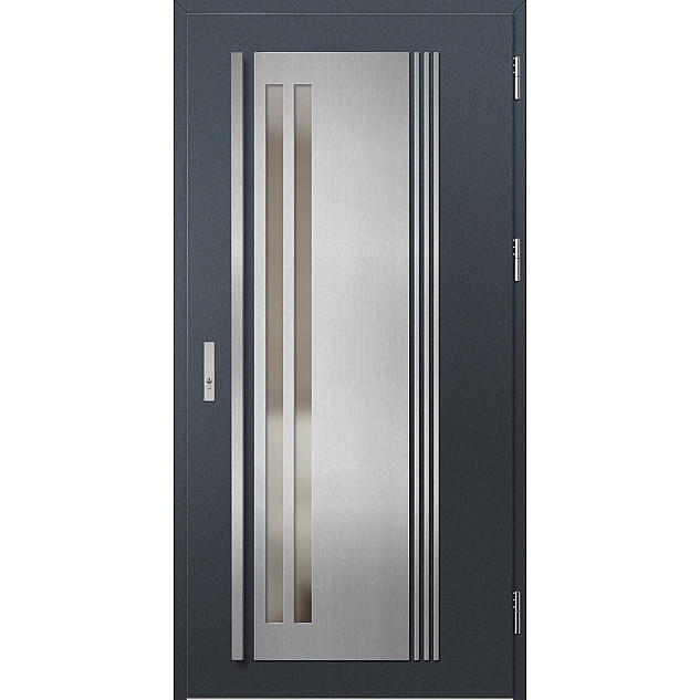Ocelové vchodové dveře - LINDEN 5 - Antracit Struktura, Label Inox Ocelové vchodové dveře ERKADO - LINDEN 5 - Antracit Struktura, Label Inox