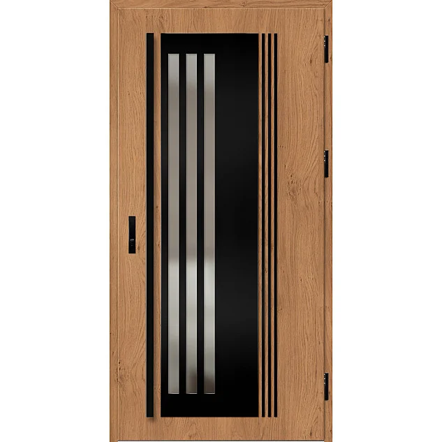 Ocelové vchodové dveře - LINDEN 6 - Winchester, Label Black Ocelové vchodové dveře ERKADO - LINDEN 6 - Winchester, Label Black