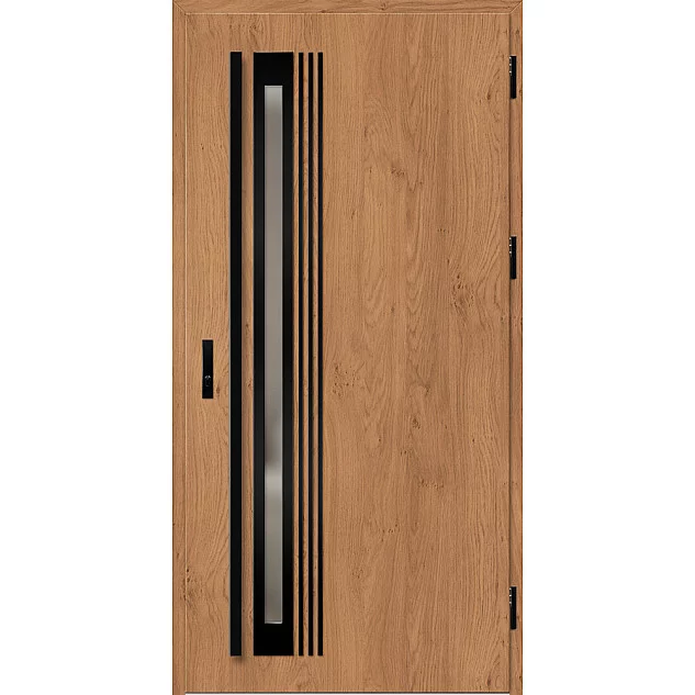 Ocelové vchodové dveře - TREBUR 4 - Winchester, Label Black Ocelové vchodové dveře ERKADO - TREBUR 4 - Winchester, Label Black