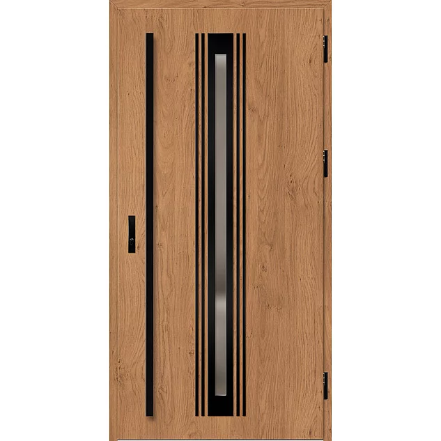 Ocelové vchodové dveře - TREBUR 5 - Winchester, Label Black Ocelové vchodové dveře ERKADO - TREBUR 5 - Winchester, Label Black