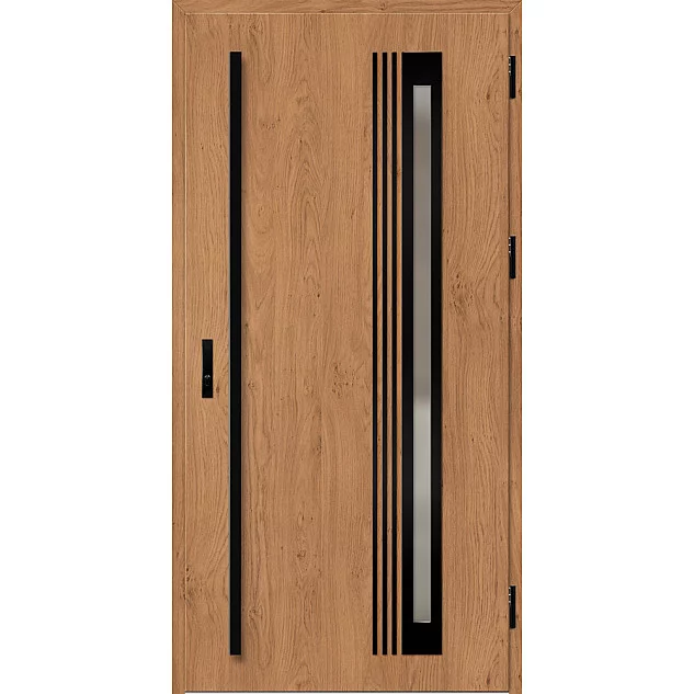 Ocelové vchodové dveře - TREBUR 6 - Winchester, Label Black Ocelové vchodové dveře ERKADO - TREBUR 6 - Winchester, Label Black