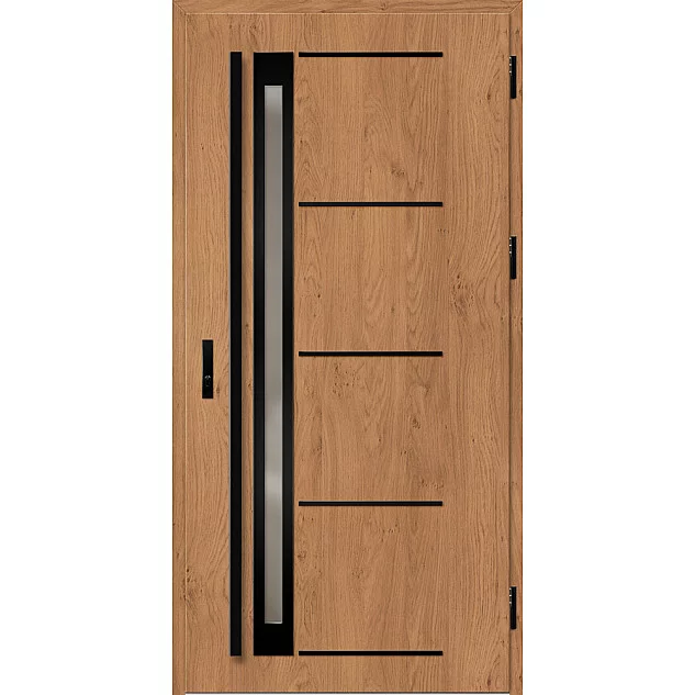 Ocelové vchodové dveře - TREBUR 7 - Winchester, Label Black Ocelové vchodové dveře ERKADO - TREBUR 7 - Winchester, Label Black