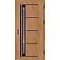Ocelové vchodové dveře - TREBUR 7 - Winchester, Label Black Ocelové vchodové dveře ERKADO - TREBUR 7 - Winchester, Label Black