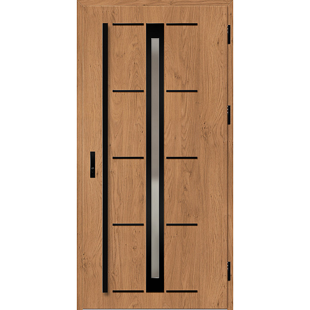 Ocelové vchodové dveře - TREBUR 8 - Winchester, Label Black Ocelové vchodové dveře ERKADO - TREBUR 8 - Winchester, Label Black
