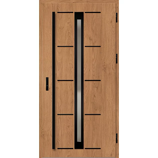 Ocelové vchodové dveře - TREBUR 8 - Winchester, Label Black Ocelové vchodové dveře ERKADO - TREBUR 8 - Winchester, Label Black