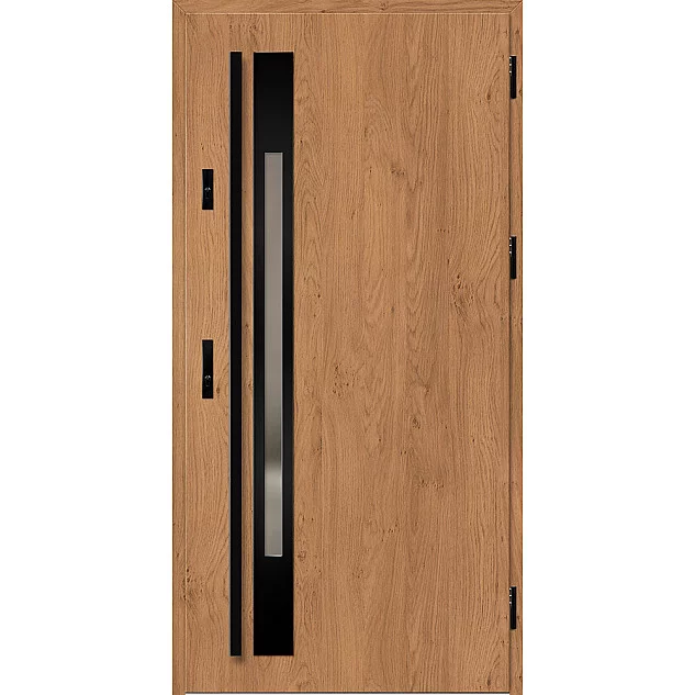 Ocelové vchodové dveře ERKADO - WELS 1 -  Winchester, Label Black