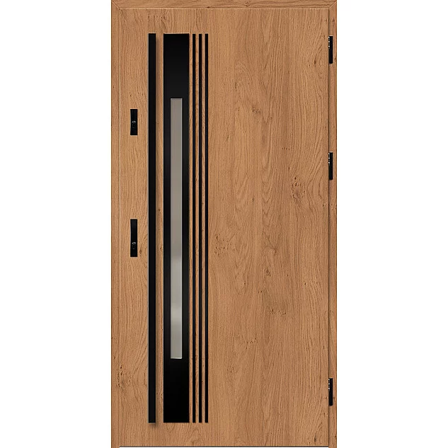 Ocelové vchodové dveře ERKADO - WELS 4 -  Winchester, Label Black
