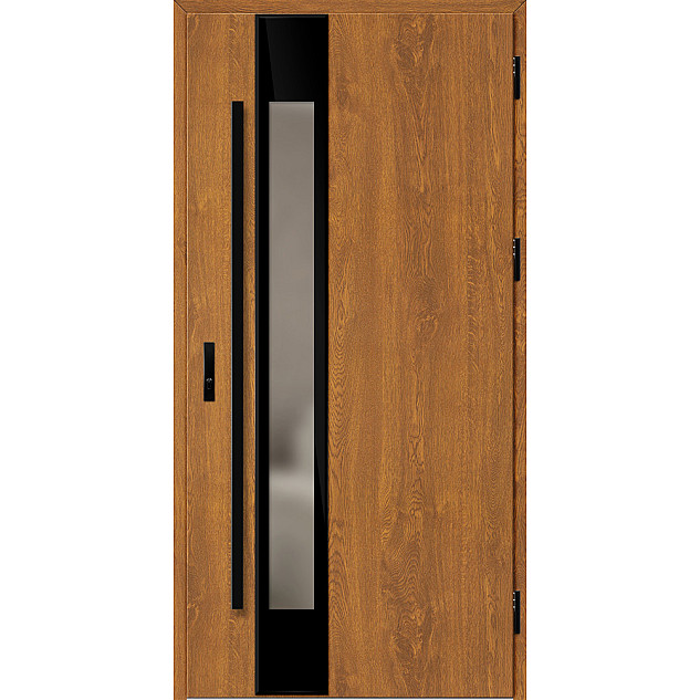 Ocelové vchodové dveře ERKADO - WIENER 2 - Zlatý dub, Label Diamound Glass