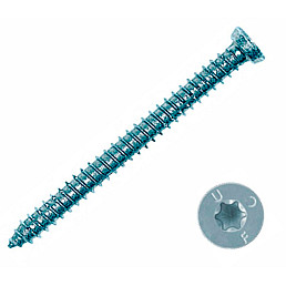 Turbošroub 7,5 x 152 mm, TORX, vč. bílé krytky (1 ks) Turbošroub 7,5 x 152 mm, TORX, vč. bílé krytky (1 ks)